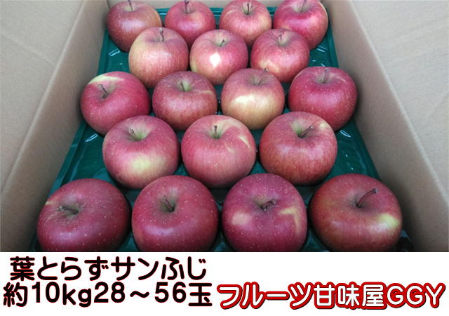 葉とらずサンふじ　青森産 約10kg（約28〜56玉）【送料無料】一部の地域を除く　120サイズ　サンふじ　ふじ　りんご　林檎　リンゴ　富士　サンフジのサムネイル