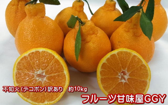 不知火　訳あり　デコポンと同品種　デコみかん　熊本産1箱　箱込10キロ（9kg+保証分500g...