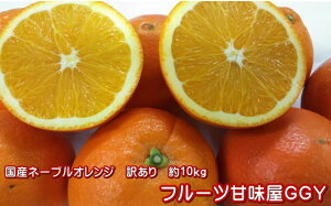 ネーブルオレンジ　訳あり　約10キロ（9kg+保証分500g）国産 熊本産（網田産）みかん　ネーブルオレンンジ
