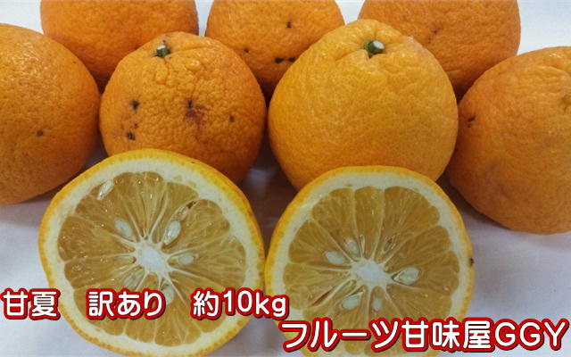 全国お取り寄せグルメ熊本フルーツ・果物No.27