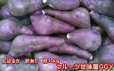 紅はるか 蔵出し 訳あり 箱込10キロ(9kg+保証分500g)さつまいも 蜜芋 熊本産サイズ 大・中・小【指定不可】【送料無料】一部の地域を除く