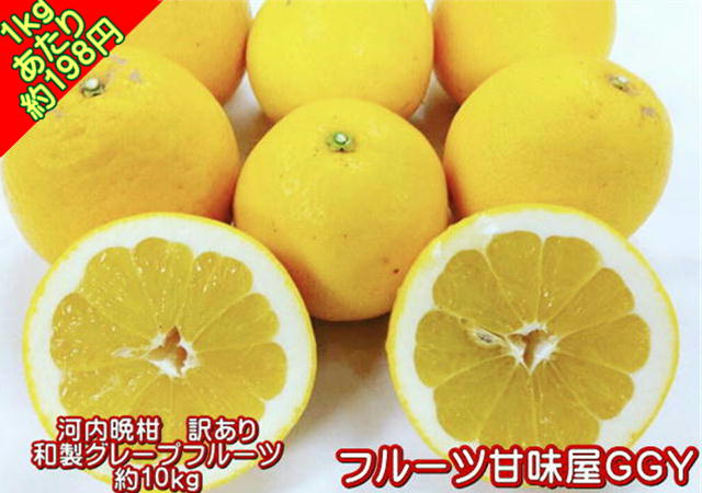 ＼衝撃！1kgあたり約198円！／河内晩柑（ジューシーオレンジ）　訳あり　1箱　箱込10キロ（9kg+保証分500g）　熊本産【送料無料】（一部の地域を除く）宇和ゴールド　みかん　和製グレープフルーツ