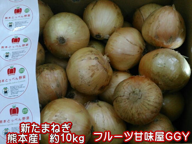 新たまねぎ　熊本産　1箱　約10kg　サイズ2L〜M【送料無料】一部の地域を除く　玉ねぎ　タマネギ　サラダタマネギ　サラダ玉ねぎ　サラダ　生食のサムネイル