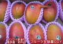 熊本マンゴー 訳あり 約5kg【規格外】加工用 熊本産 メガ盛り クール便発送