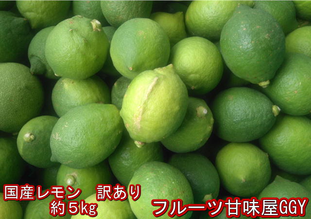 Y/P国産レモン　訳あり　約5kg　熊本産　リスボン　マイヤー　グランドレ...