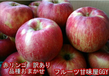 りんご 訳あり 約10キロ【約24〜50玉】【サンつがる・早生ふじ・サンふじ】など産地おまかせ【長野・青森・山形】約10キロ【約24〜50玉】【送料無料】一部の地域を除く 120サイズ