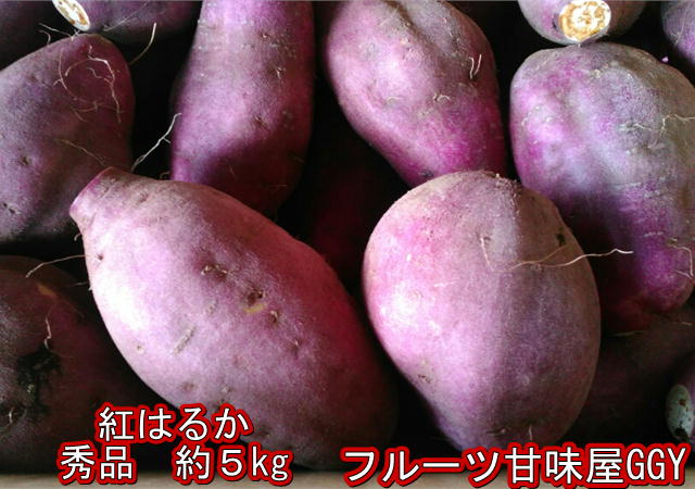 全国お取り寄せグルメ熊本野菜・きのこNo.14