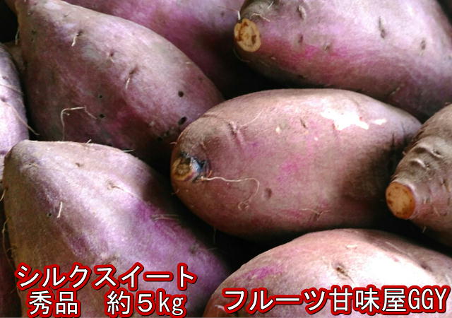 シルクスイート 秀品　蔵出し　約5kg　サイズ【3L〜2S】さつまいも 蜜芋 熊本産送料無料（一部の地域を除く）鉄腕!DASH　テレビ　TV　鉄腕ダッシュ　80サイズ