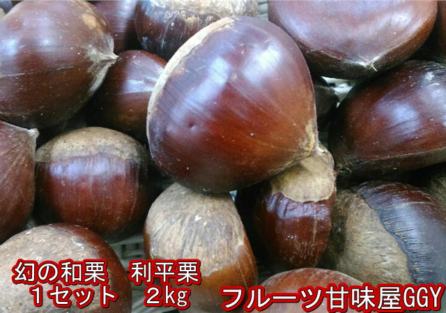 利平栗　訳あり　熊本産　1箱2kg　2箱購入で1kgおまけ！クール便発送【送料無料】一部の地域を除く　栗　和栗　くり　クリ　りへい　リヘイ　60サイズ