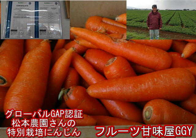 【ご奉仕価格】にんじん　10kg【安心安全　特別栽培農産物】訳あり　にんじん約10kg（9kg+保証分500g）無農薬　有機栽培　ジュース用　にんじん生活　人参