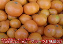 【大赤字企画!】みかん 熊本産 訳あり 10kg(箱込10k...