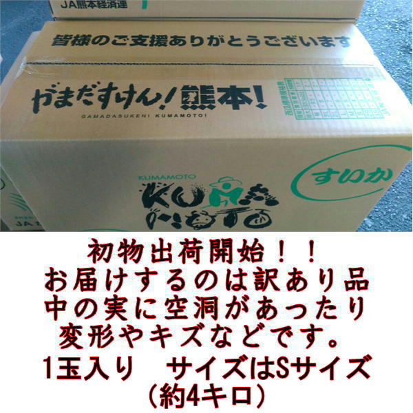 すいか　訳あり　サイズS（約4キロ）スイカ　西瓜　熊本産　　1玉入り　【送料無料...