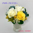 プリザーブドフラワー 初夏のお祝いギフト プレゼント 誕生日 結婚 転居 内祝 返礼品 卒業 入学 贈り物 お祝い かわいい 華やか 爽やか キュート ありがと...