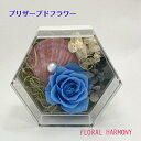 【オンリーワン商品】プリザーブドフラワー 初夏のお祝いギフト プレゼント 敬老の日 誕生日 結婚 転居 内祝 返礼品 卒業 入学 贈り物 お祝い 爽やか キュー...