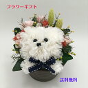 母の日ギフト プリザーブドフラワー トイプードル 送料無料フラワーギフト プレゼント 花ギフト 誕生日 記念日 転居 引越返礼品 お中元 お歳暮 お祝い お見舞い カーネーション 枯れない花 犬 プードル ベアー おしゃれ かわいい 癒し ペット(4)