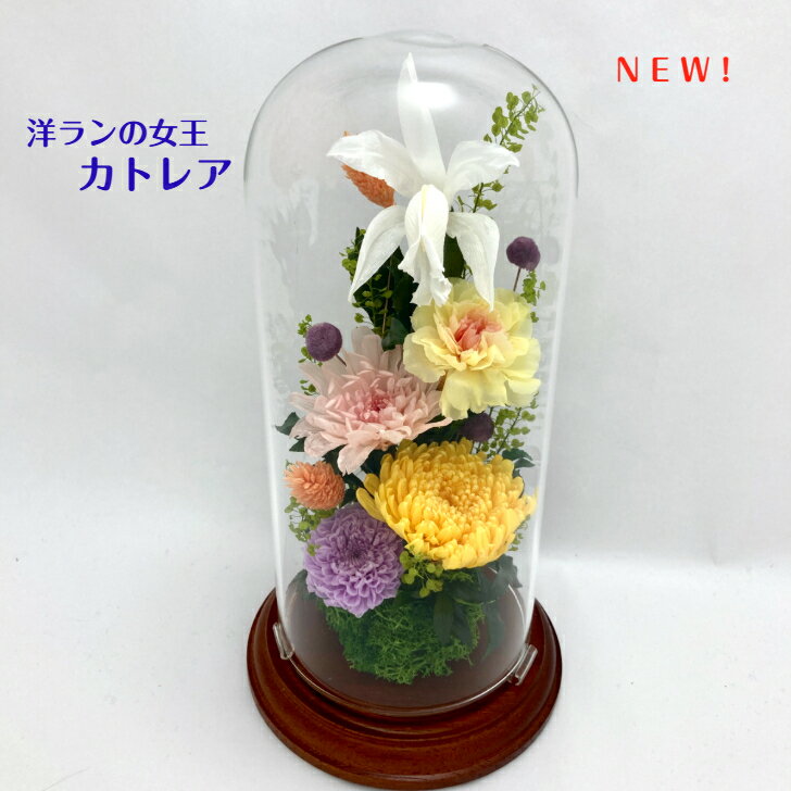 商品画像1
