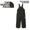 THE NORTH FACE ザノースフェイス ウェア GTX INS PNT (NYJ82306) 23-24(2024)モデル ジュニア パンツ