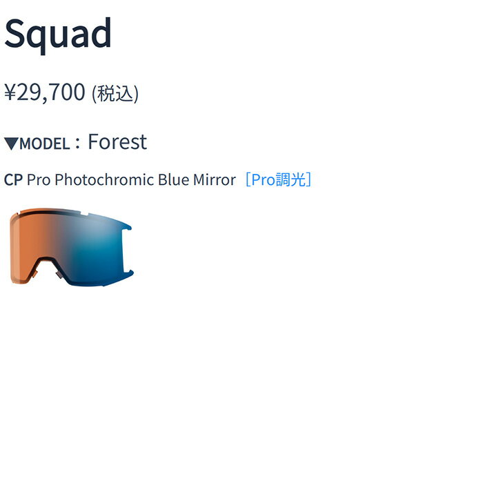 SMITH スミス ゴーグル SQUAD / FOREST / CP PRO PHOTOCHROMIC BLUE MIRROR 24-25 モデル