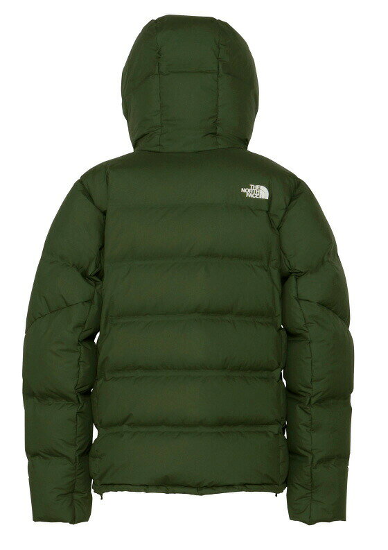 THE NORTH FACE 【BELAYER PARKA：PN（パインニードル）】ノースフェイス　ビレイヤーパーカー　ゴアテックス