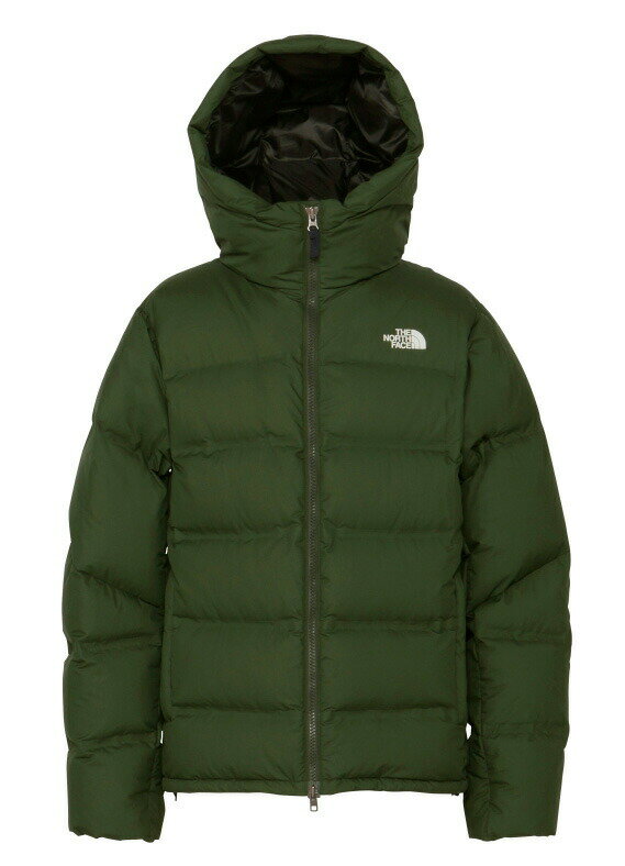 THE NORTH FACE 【BELAYER PARKA：PN（パインニードル）】ノースフェイス　ビレイヤーパーカー　ゴアテックス