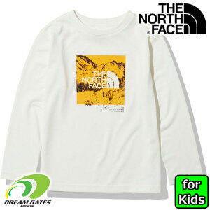 子供用　THE NORTH FACE 【L/S FIREFLY TEE：GW】NTJ32243ノースフェイス　長袖Tシャツ　ファイヤーフライティー　キッズ　ジュニア　子供用　キャンプ　アウトドア　難燃素材を使用した長袖ティーシャツ　[メール便対応可]