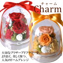 プリザーブドフラワー ドーム チャーム バラ ケース入り 誕生日 お祝い 結婚祝い ドームフラワー 歓送迎 結婚記念日 プロポーズ 長寿祝い 還暦祝い 開業 開...