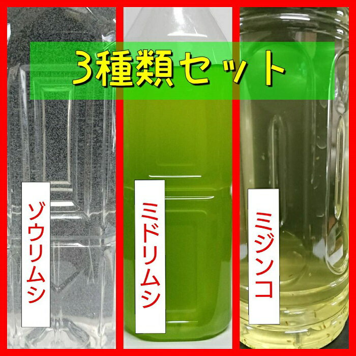 【活き餌】ミジンコ、ゾウリムシ、ミドリムシ(ユーグレナ)480cc各1本（合計3本セット）　微生物　プランクトン　稚魚用フード　餌　活き餌　インフゾリア