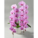 ysigasiga orchid housez֌Ӓ sN 2{ 20ֈȏiڂ݊܂ށj