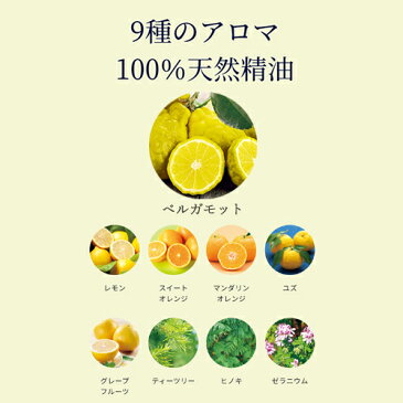 アロマdeマスク シール30枚+布マスク3枚 セット アロマデマスク AROMAdemask ベルガモットブレンド アロママスク マスクアロマ アロマシール マスクシール アロマ マスク シール 香り エッセンシャルオイル 天然精油 アロマオイル マスク用 布マスク ハリネズミ