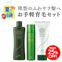 【期間限定販売★50セット限定】 夏福袋 特別セット 2025 育毛お手軽ケアセット | 女性用育毛剤 薬用リリィジュミスト リッチ薬用シャンプー リッチトリートメント ヘアケア 送料無料 女性用 薄毛 育毛 抜け毛 保湿 セット 育毛剤 シャンプー トリートメント アミノ酸 女性