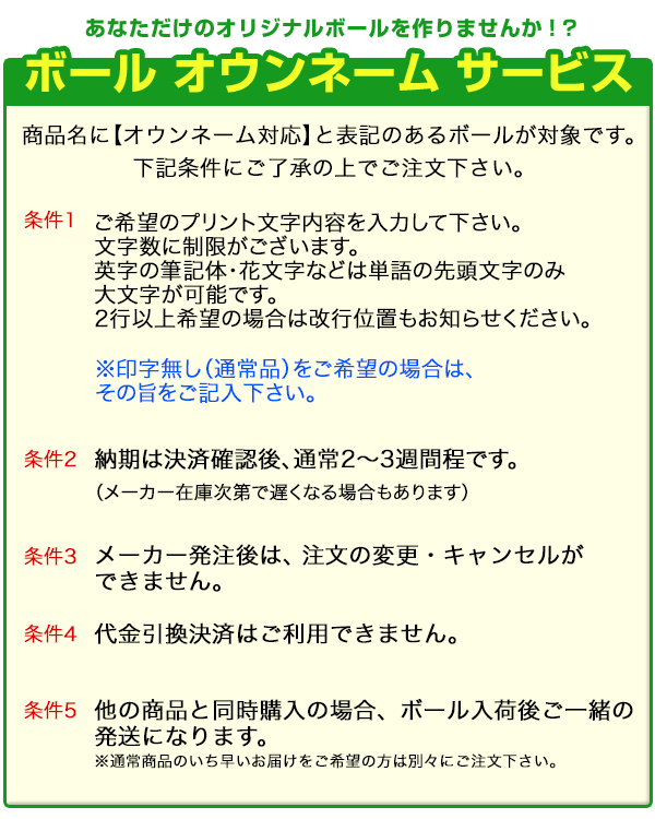 【オウンネーム名入れ対応】日本正規品 BRIDGESTONE ブリヂストン TOUR B X/TOUR B XS ツアーB 22 ゴルフボール 1ダース