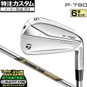 【メーカーカスタム】テーラーメイド 2021年モデル P790 P・790 アイアンセット 6本セット(#5〜PW) DynamicGold TourIssue ダイナミックゴールドツアーイシュー EX スチールシャフト その1