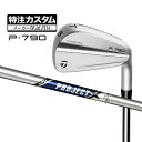 y[J[JX^ze[[Ch 2023Nf P790 IRONS PE790 ACA Pi(SԎI\) PROJECT X vWFNgX/X IO X`[Vtg