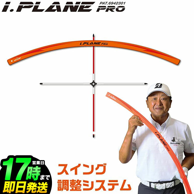 2022年モデル elitegrips エリートグリップ ゴルフ 練習器具 iP1-SET アイプレーンプロ