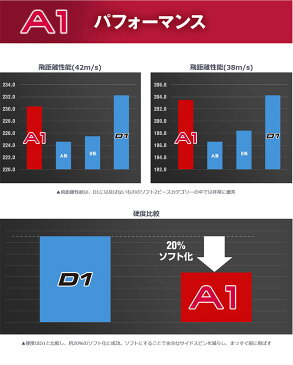 本間ゴルフ HONMA ホンマ BT1905 A1 ゴルフボール 1ダース（12球）