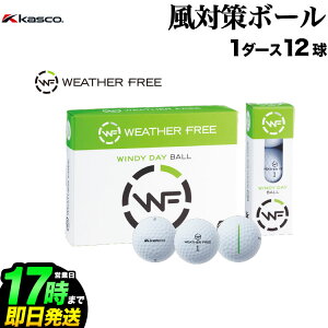 【日本正規品】Kasco キャスコ ゴルフボール WEATHERFREE ウェザーフリー 風用ボール 1ダース (12個入り)