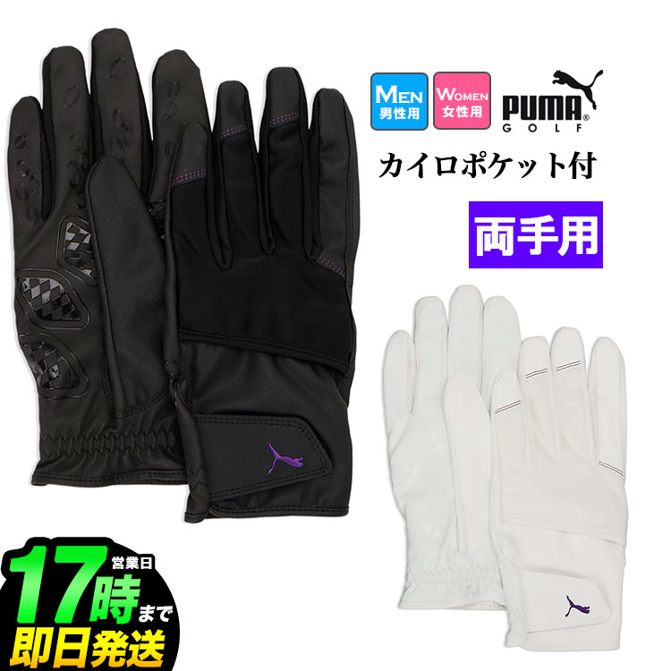 【日本正規品】2025年 PUMA プーマ ゴルフ 042060 シャドウ ウィンター グローブ （メンズ）