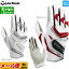 ơ顼ᥤ  TaylorMade TD303 󥿡 5.0 RH  INTERCROSS 5.0 RH GLOVE (/Ǥ)