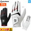 ơ顼ᥤ  TaylorMade TD307 DURABLE GRIP 2.0 GLOVE ǥ֥륰å 2.0  (/Ǥ)ʥ󥺡