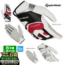 TaylorMade テーラーメイド ゴルフ UN147 インタークロス 6.0 RH グローブ (右手着/左打ち用) (メンズ)