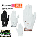 2025年 モデル TaylorMade テーラーメイド ゴルフ UN805 プレイヤーズ レディ グローブ シングル (左手着/右打ち用) (レディース)