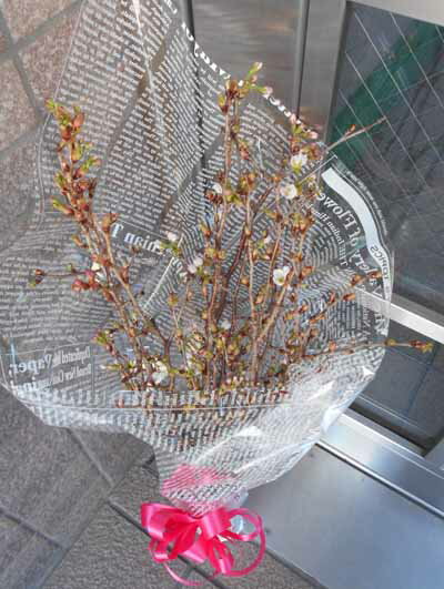 啓翁桜の花束　送料無料ギフト