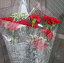 thum2