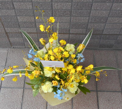 �����Τ��֤ȥ��󥷥��塼��Υ���󥸥���