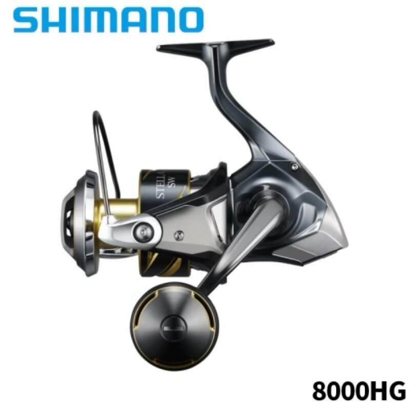 シマノ25ステラSW8000HG