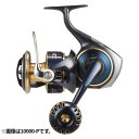 ダイワ(Daiwa) ソルティガ 8000-P 25年モデル スピニングリール