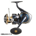 ダイワ(Daiwa) ソルティガ 10000-H 25年モデル スピニングリール
