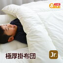 【日本製】無地 掛け布団 ジュニアサイズ防ダニ 抗菌 防臭 吸汗 速乾加工 テイジンアクフィット中綿使用 ss2506