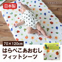 【日本製】はらぺこあおむしフィットシーツ　70×120cm【受注発注】