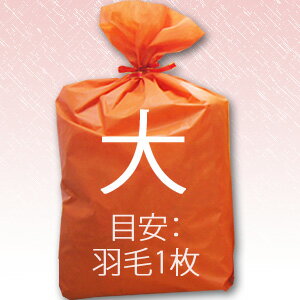 ギフトラッピング(大)